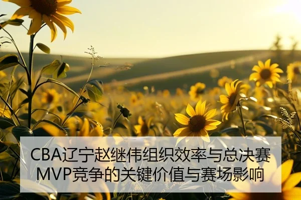 CBA辽宁赵继伟组织效率与总决赛MVP竞争的关键价值与赛场影响