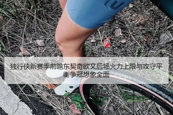 独行侠新赛季前瞻东契奇欧文后场火力上限与攻守平衡争冠想象全面
